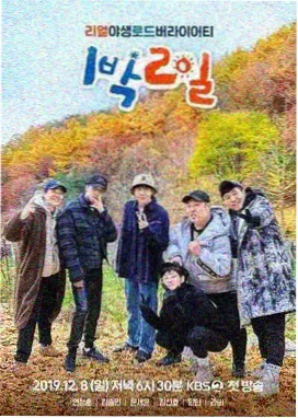 歌手2026 神马影视在线观看